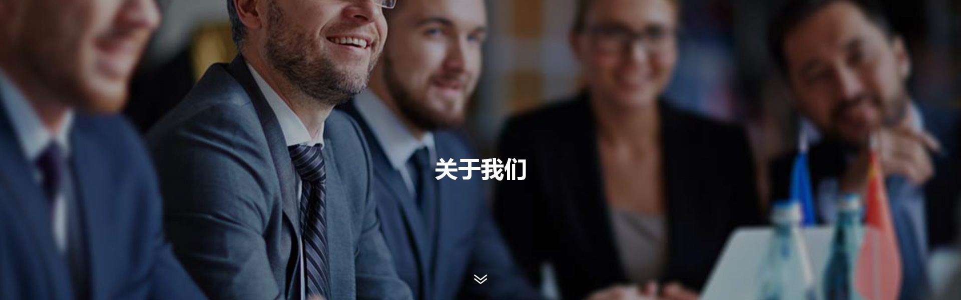 公司簡介
